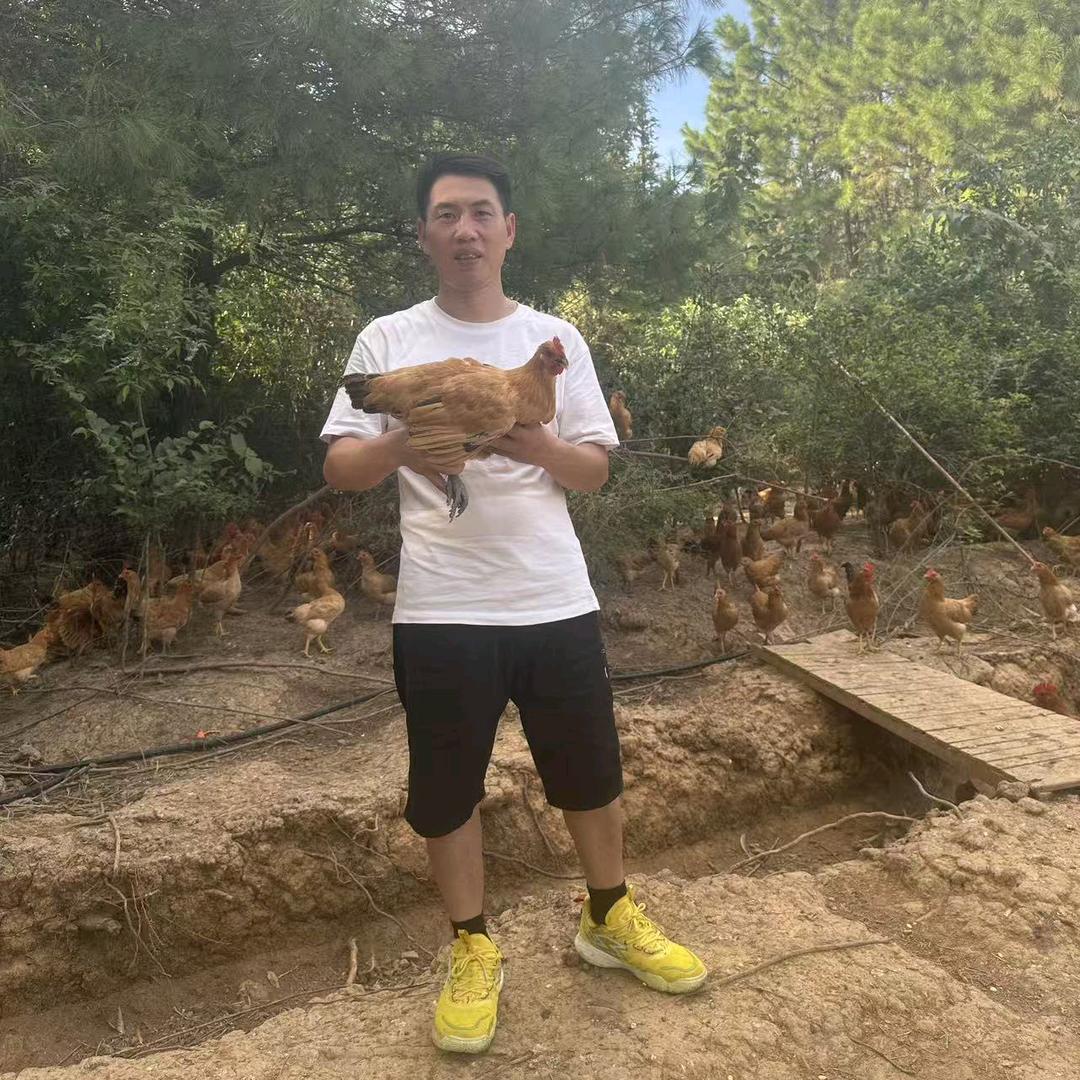 宁远蛋之源杰哥
