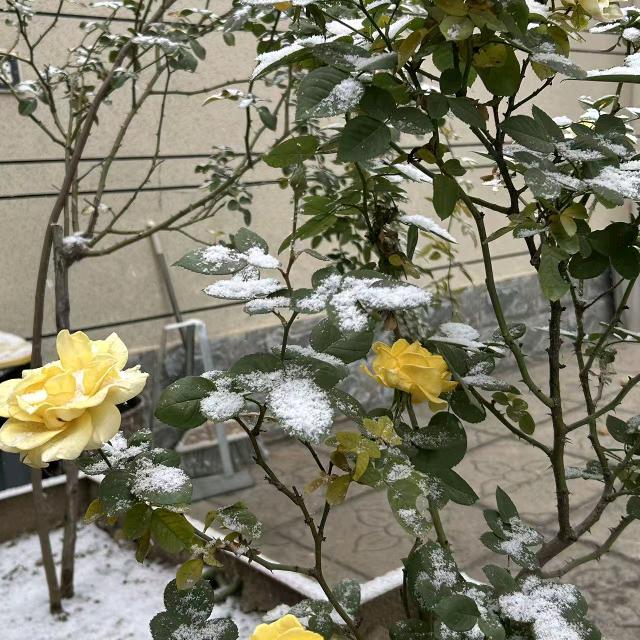 浩哥(高端女装)