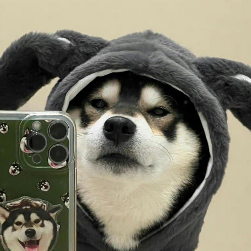 人生不繁亦不凡