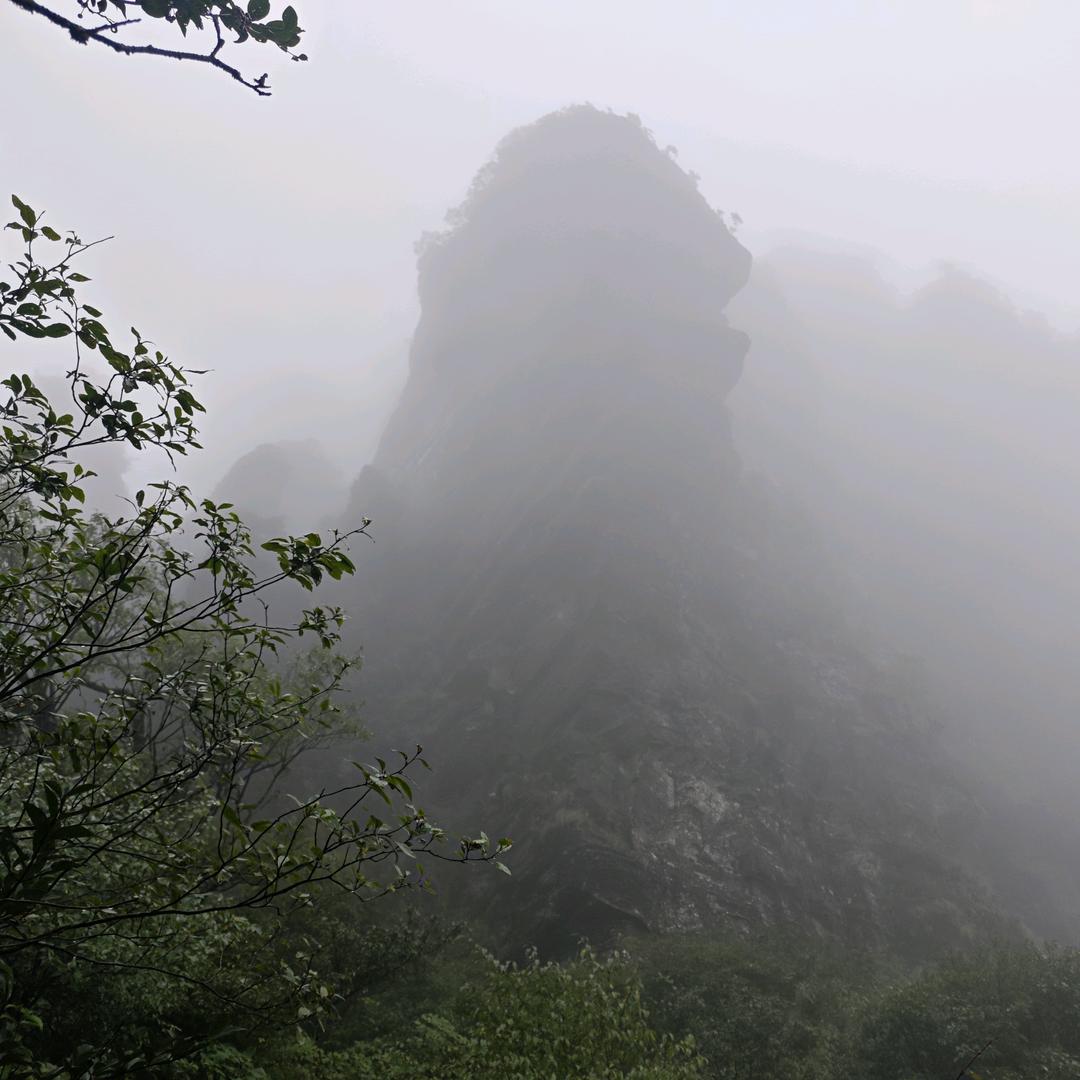 TOP～龍灬爺