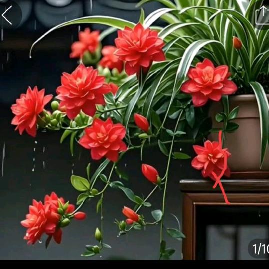《戏迷》拒私聊