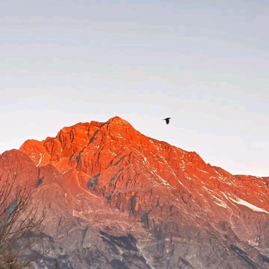 ííêōǒ