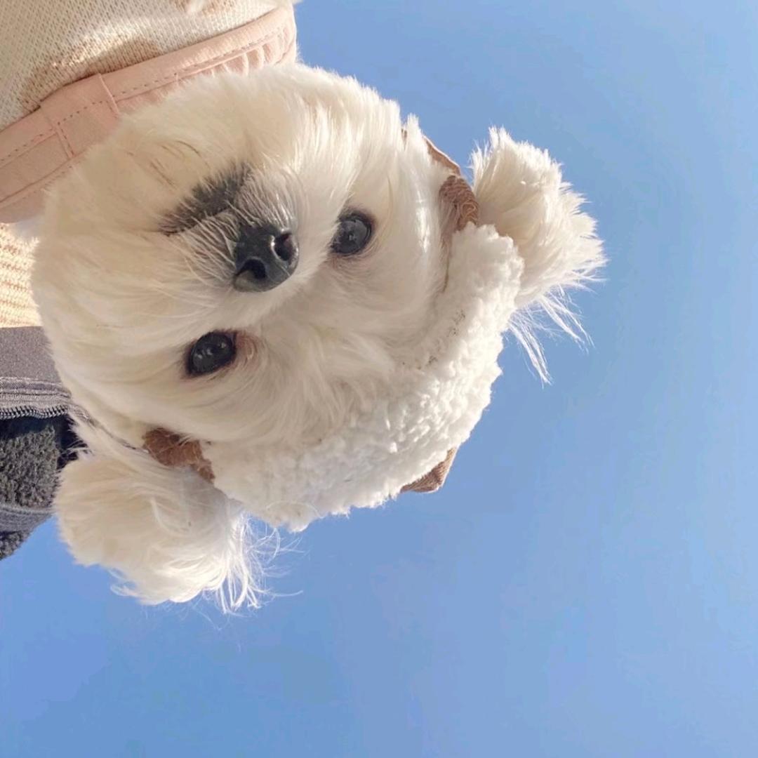 我不开心✨