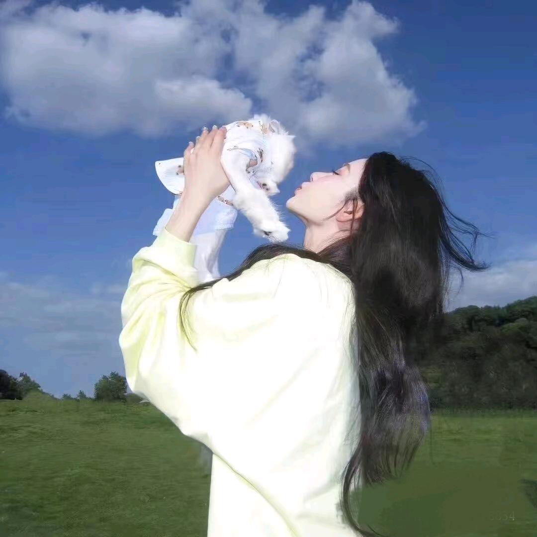 赛上品牌设计有限公司花飞 运营号