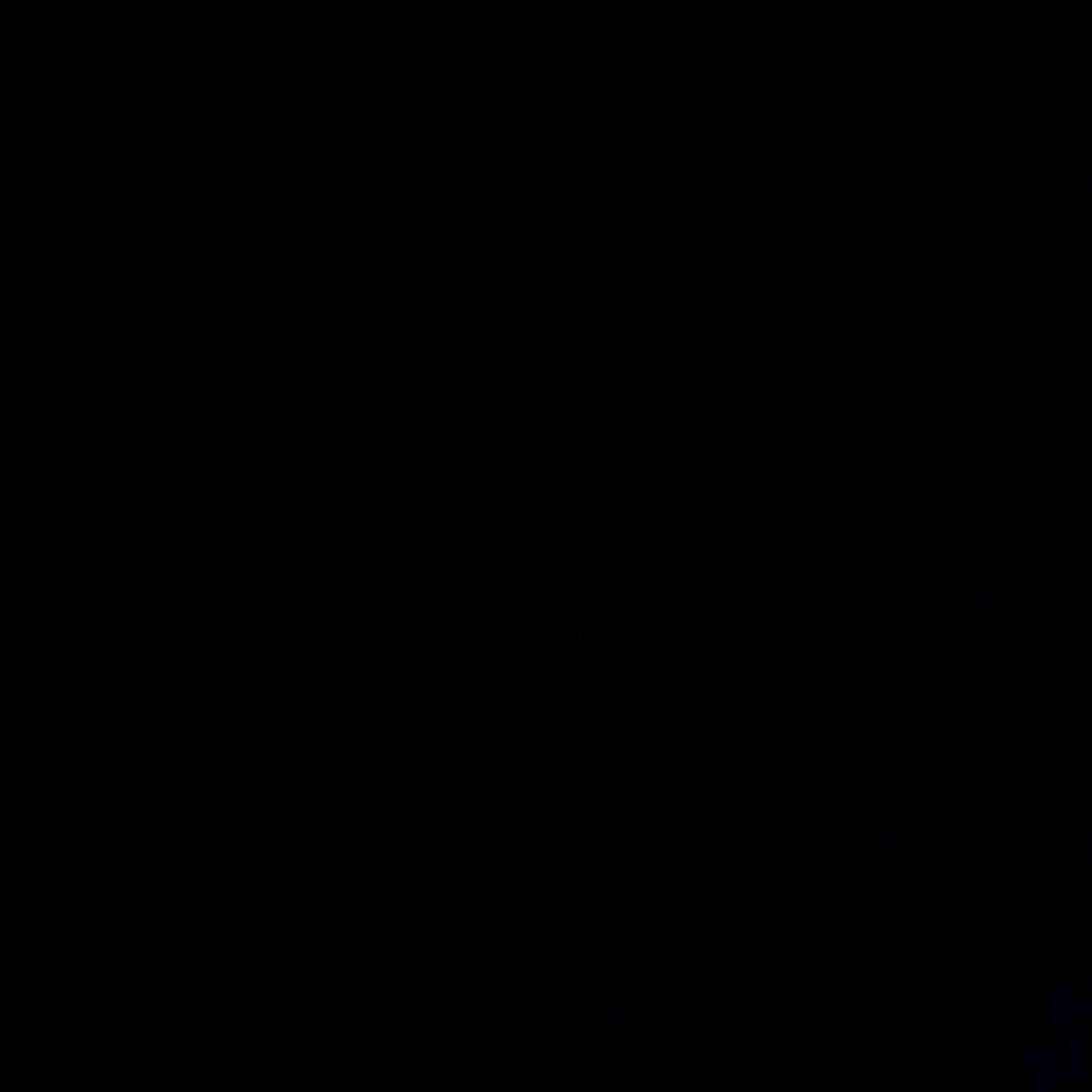 小仓鼠