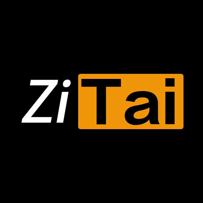 姿态ZITAI