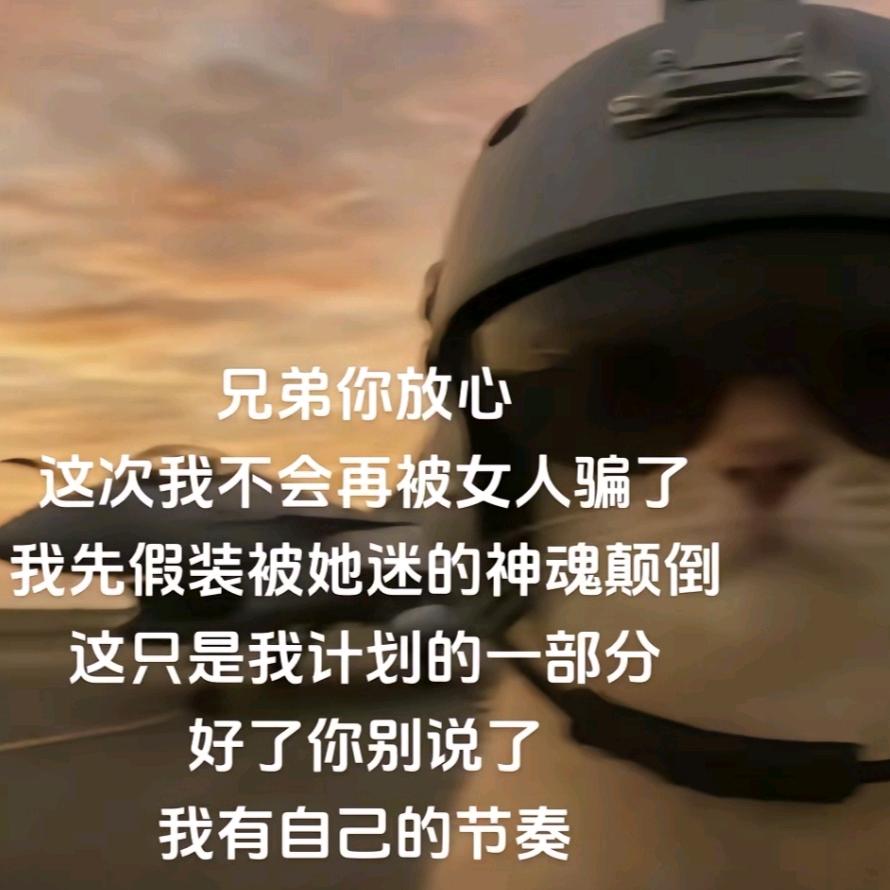 一颗小苦苣（服了版）