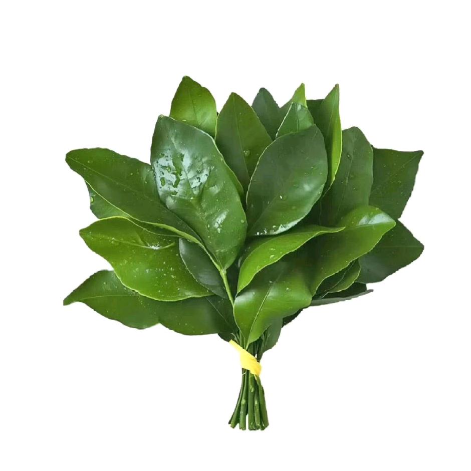 冷漠卡迪
