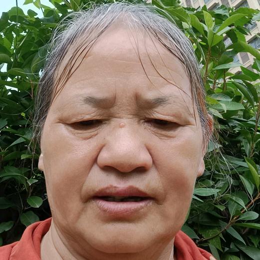 芝麻姐