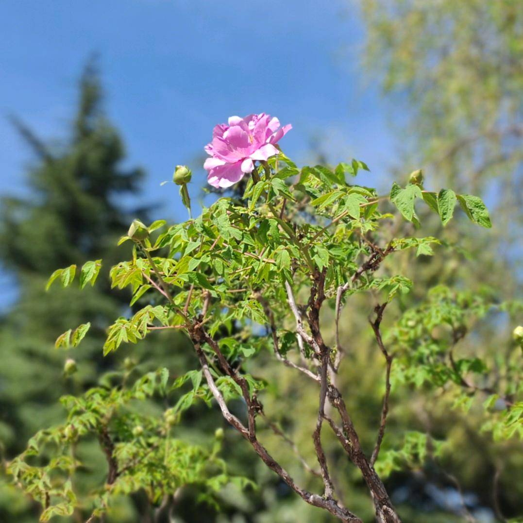 春暖花开🌈 ㅤ