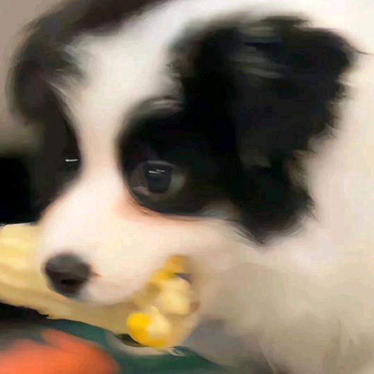 苏阿凡