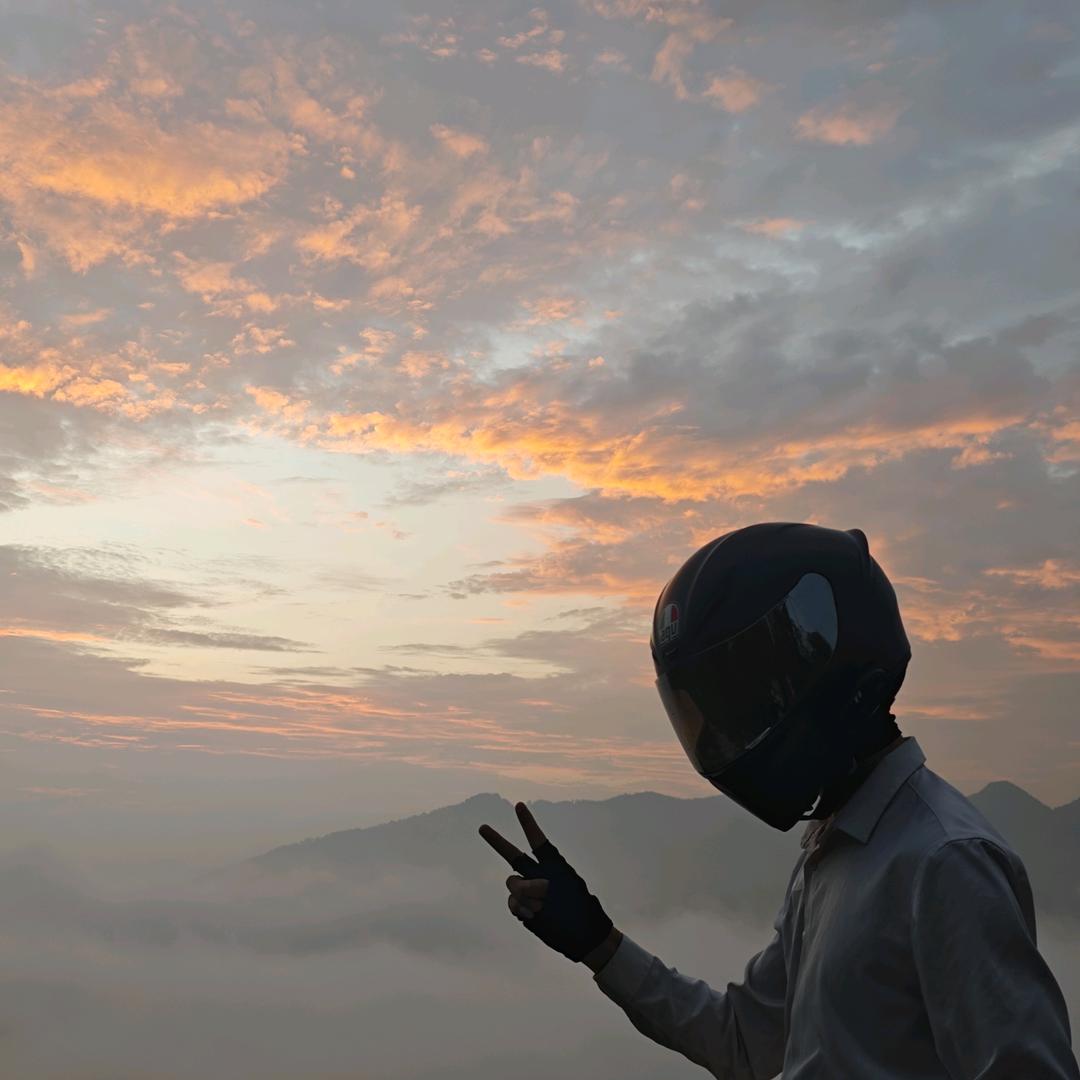 蓝桉（燃烬版）