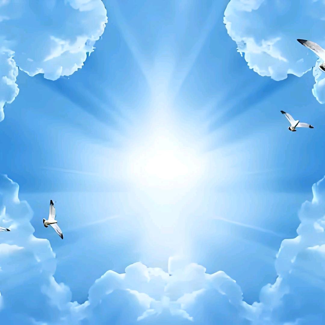 用户77588581314258