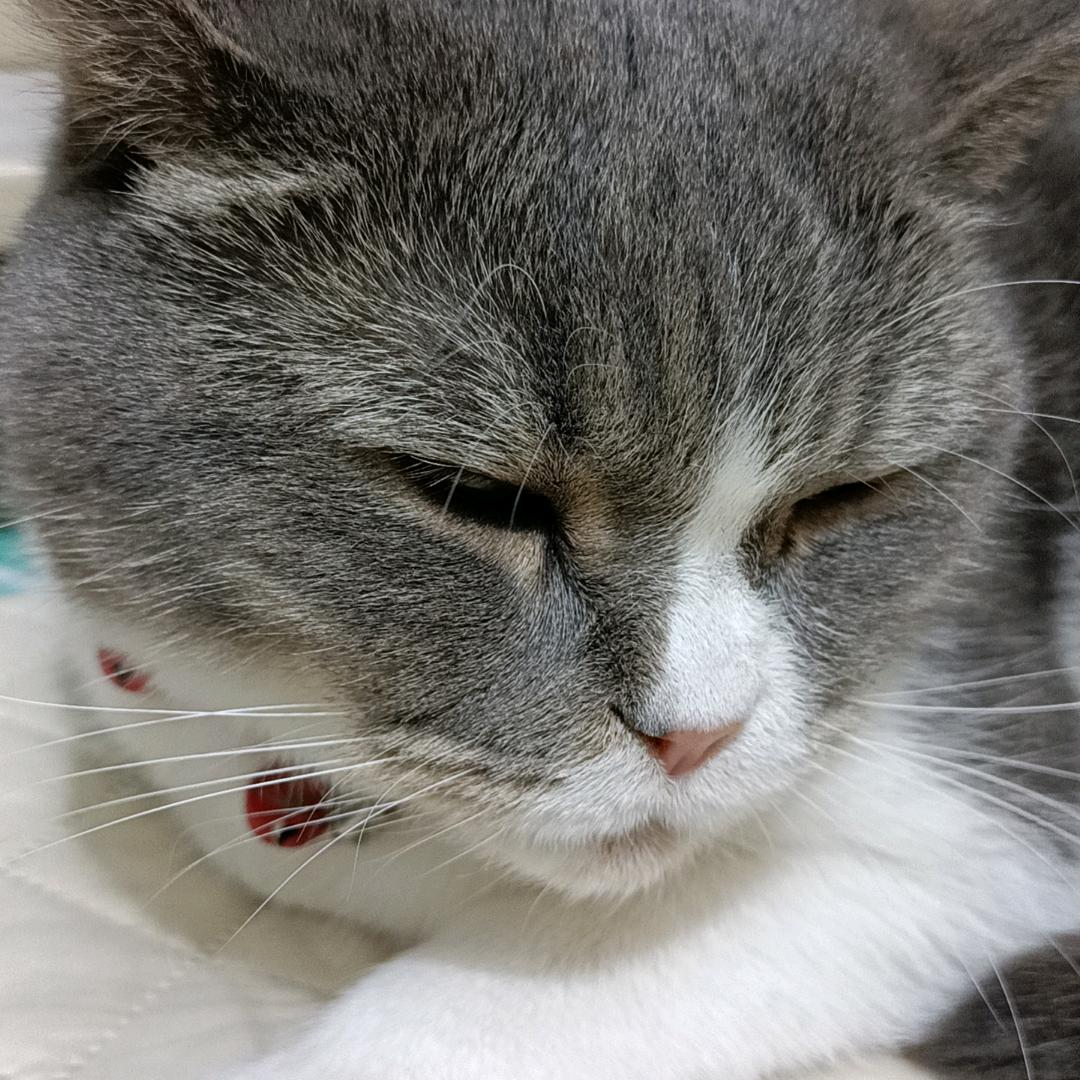 花瓶.