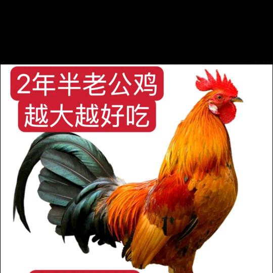 严哥🔥广州服装尾货