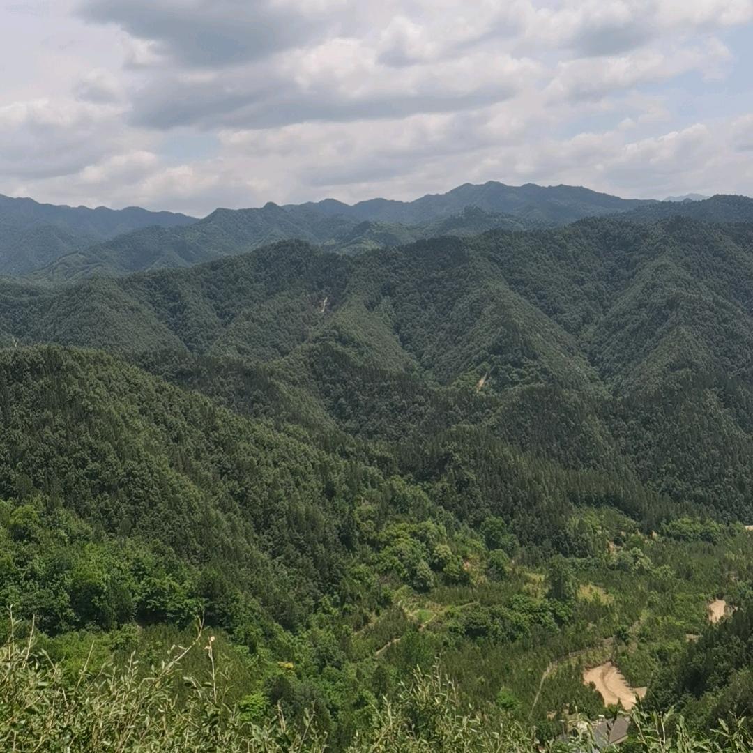 孤傲的白狼✔