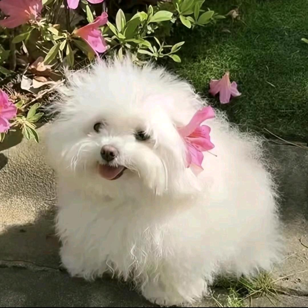 夏天.