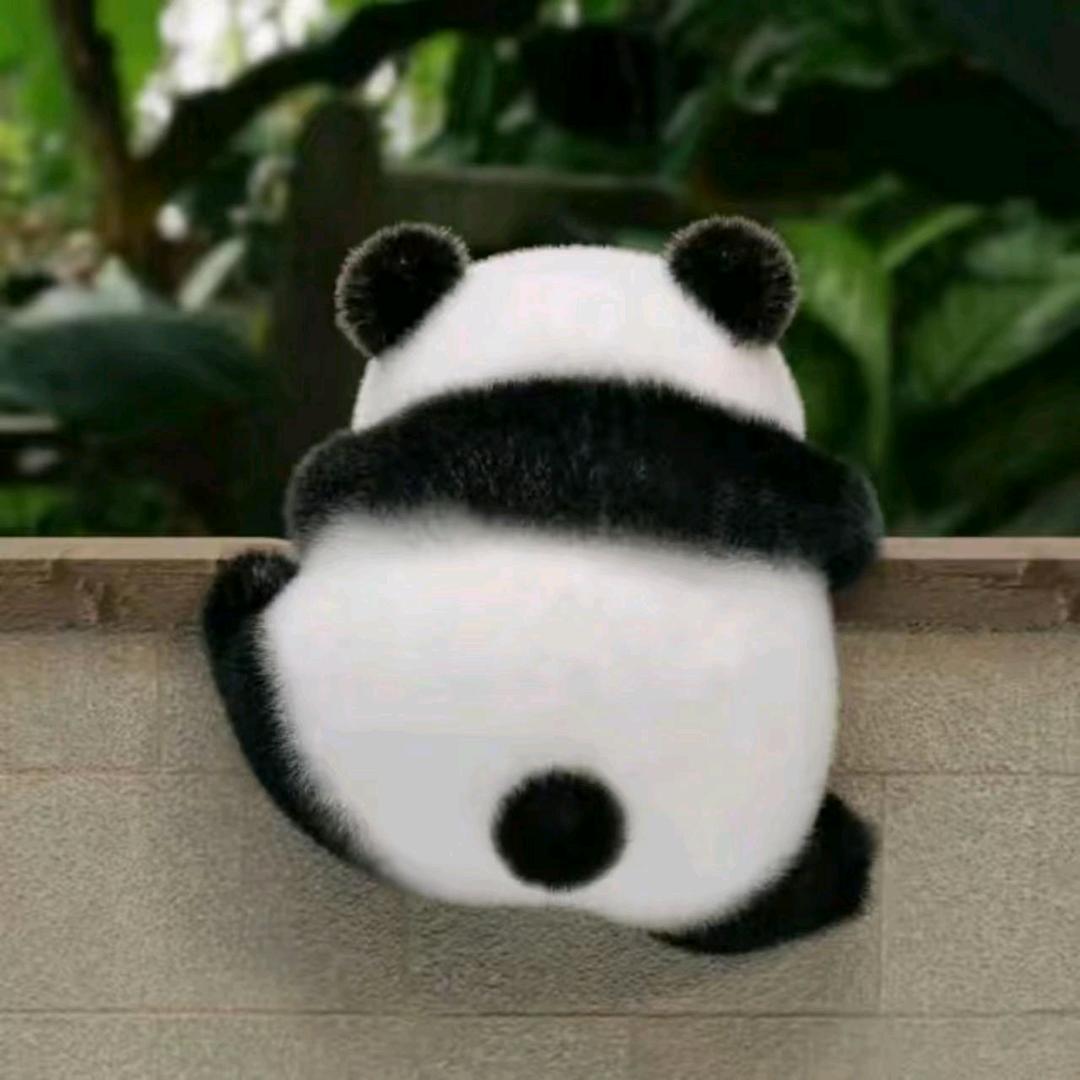 楛澀de棒棒╭糖