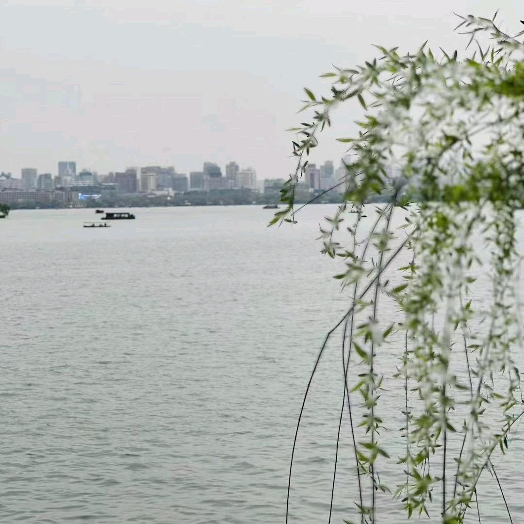小可爱