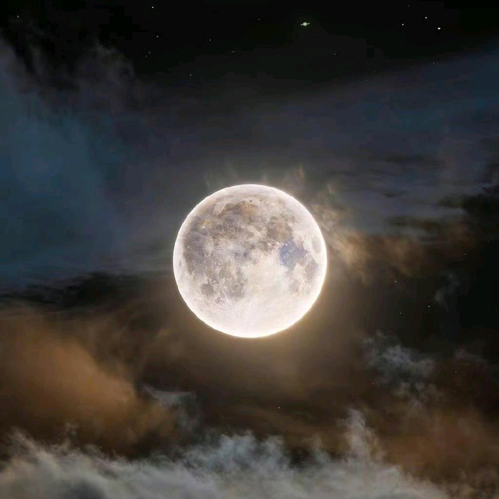 刺绣图案定制logo