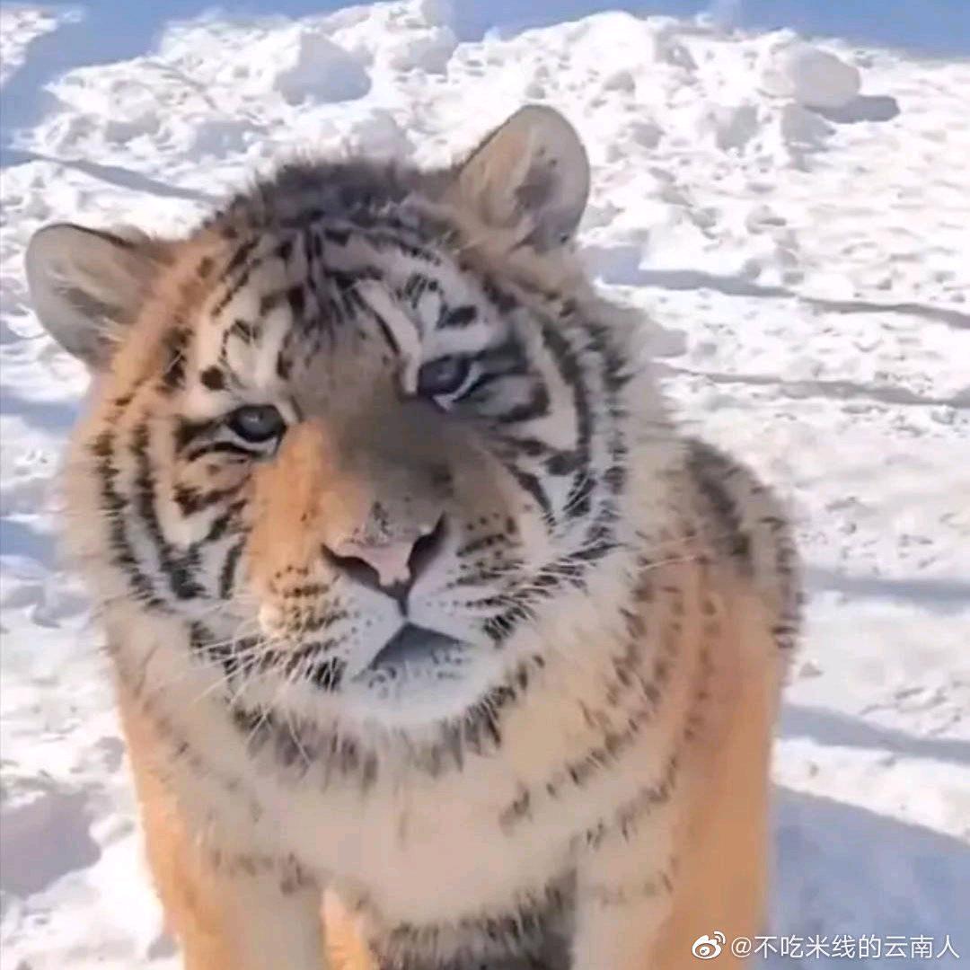偷偷放屁惊艳所有人