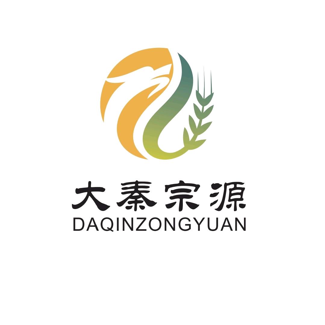 大秦宗源