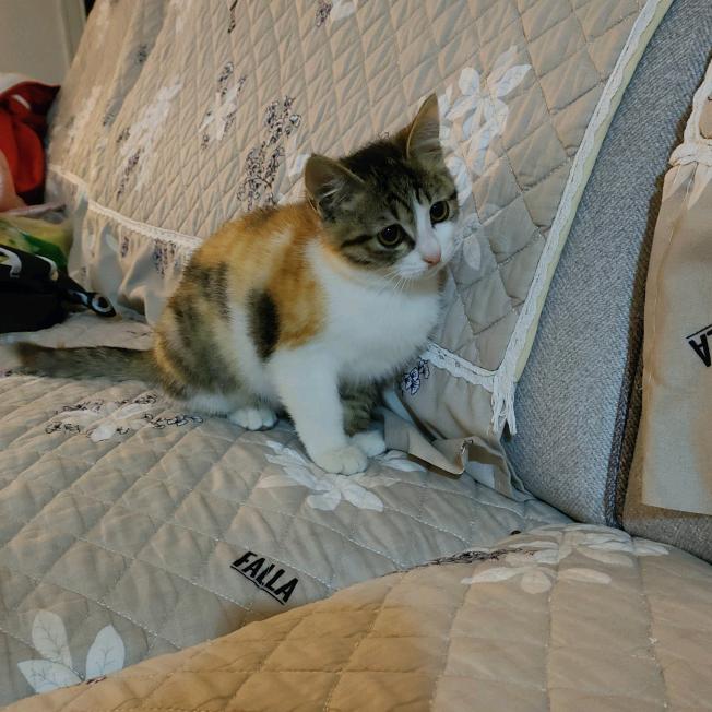 wang♥(｡￫v￩｡)♥事清澪