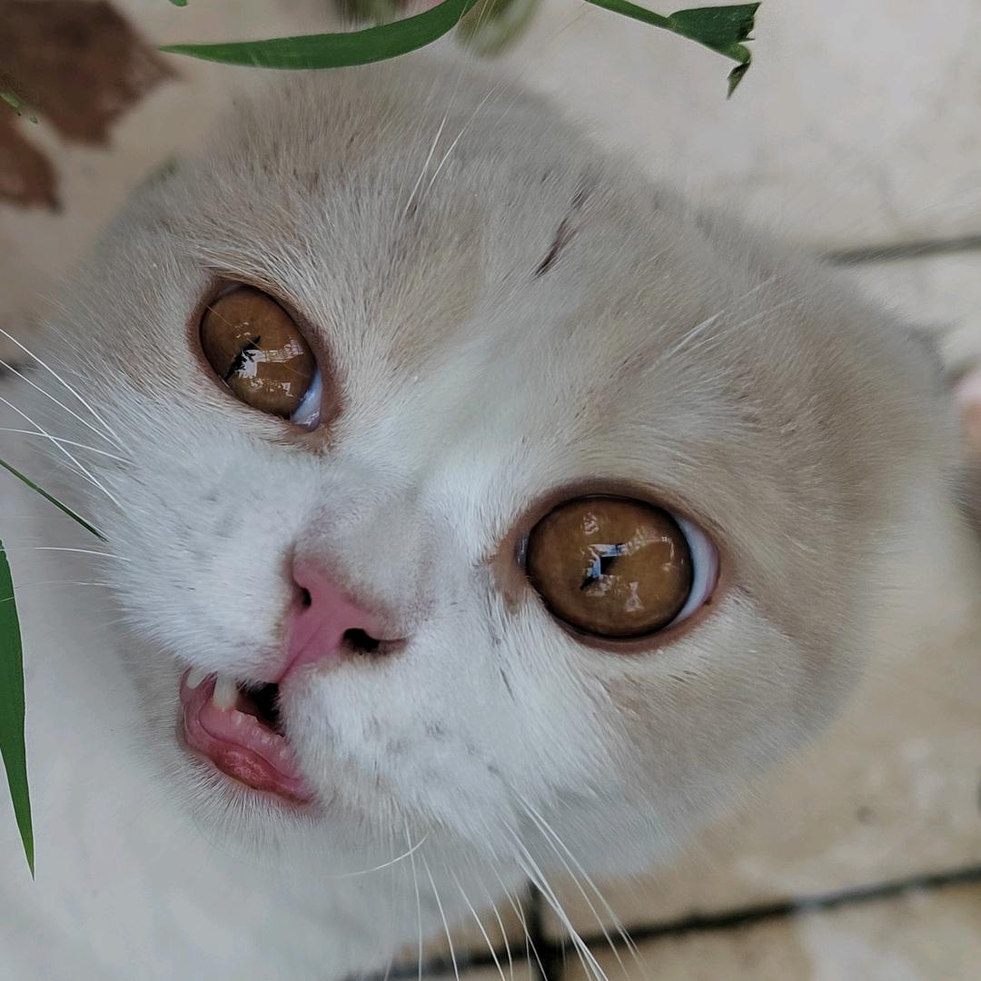 越问越伤心