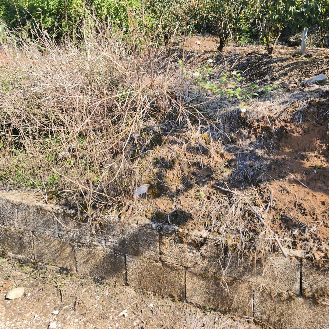 抖音用户123589704