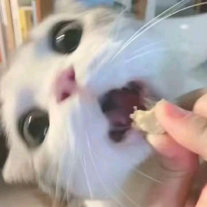 小慕