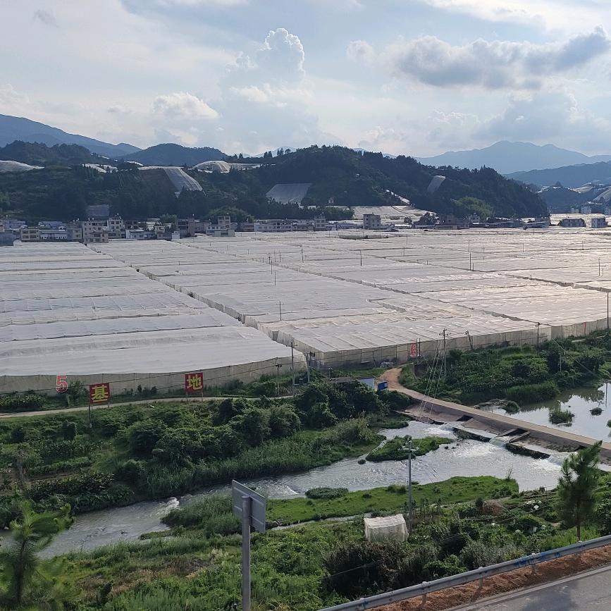南宁亿橙防虫网农业有限公司