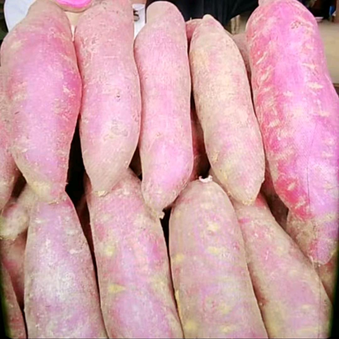 莱财食品