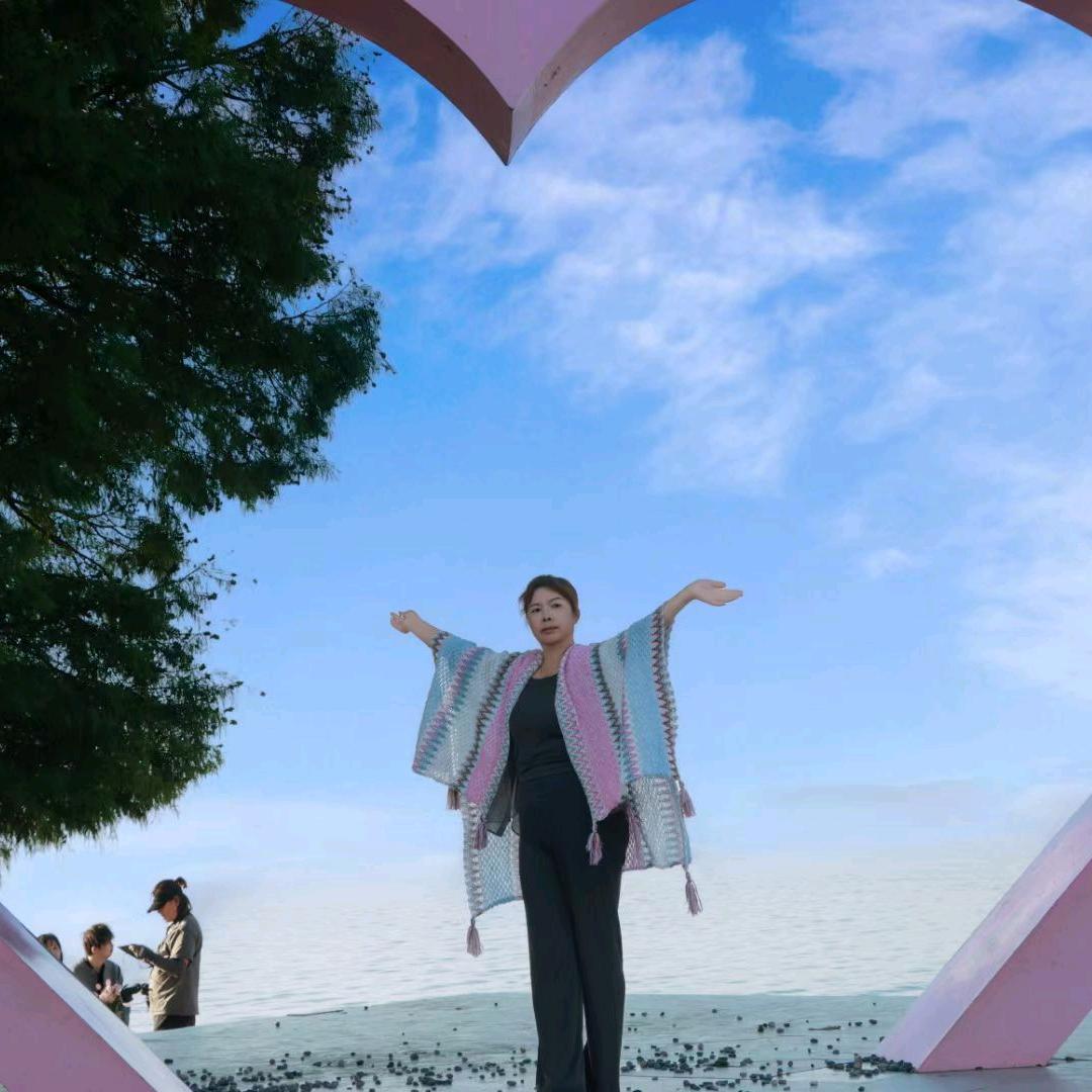 抚仙湖网约车~燕子