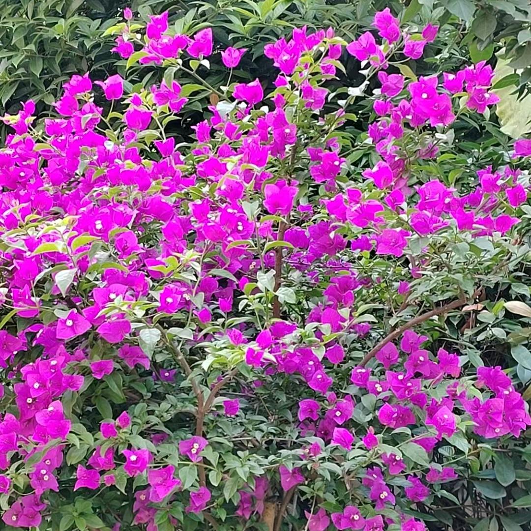 知足是福