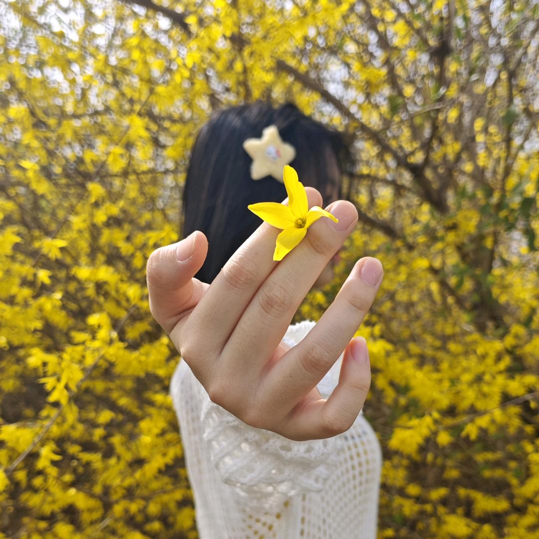 喆喆没话说《首播》