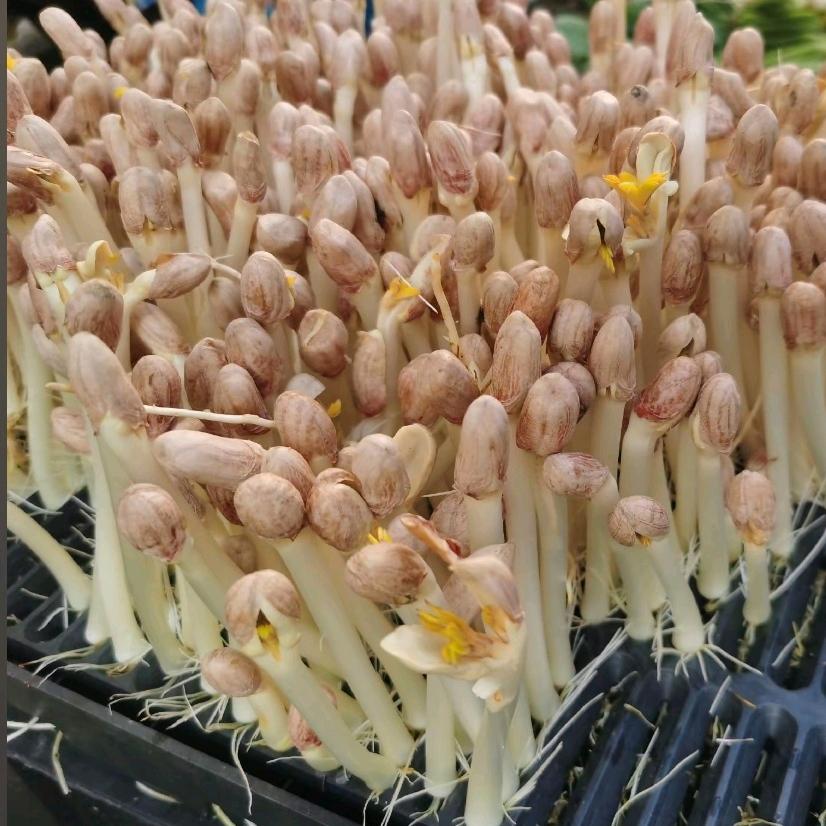 不忘初心😄😄