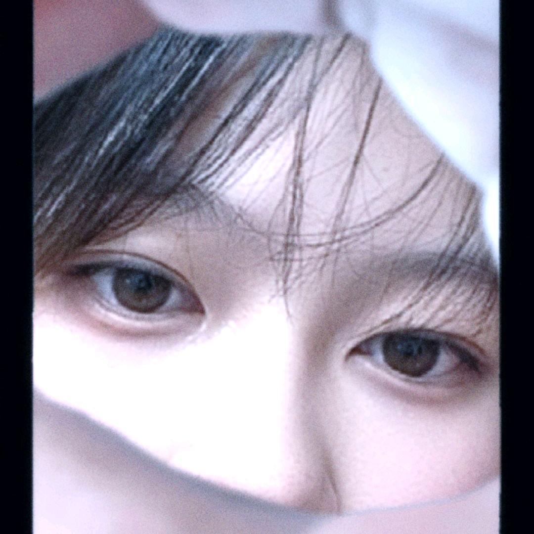 朕已阅