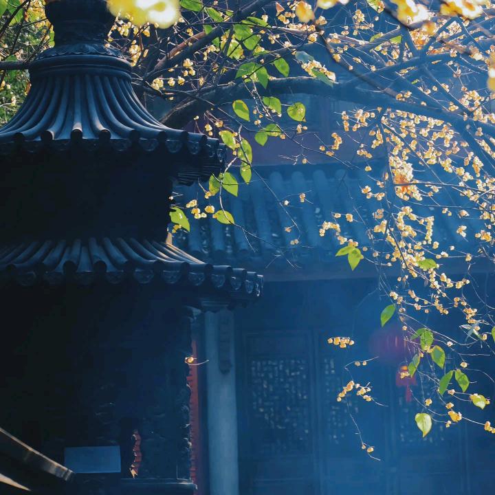 素念
