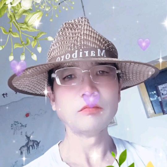 用户孤雁展翅飞