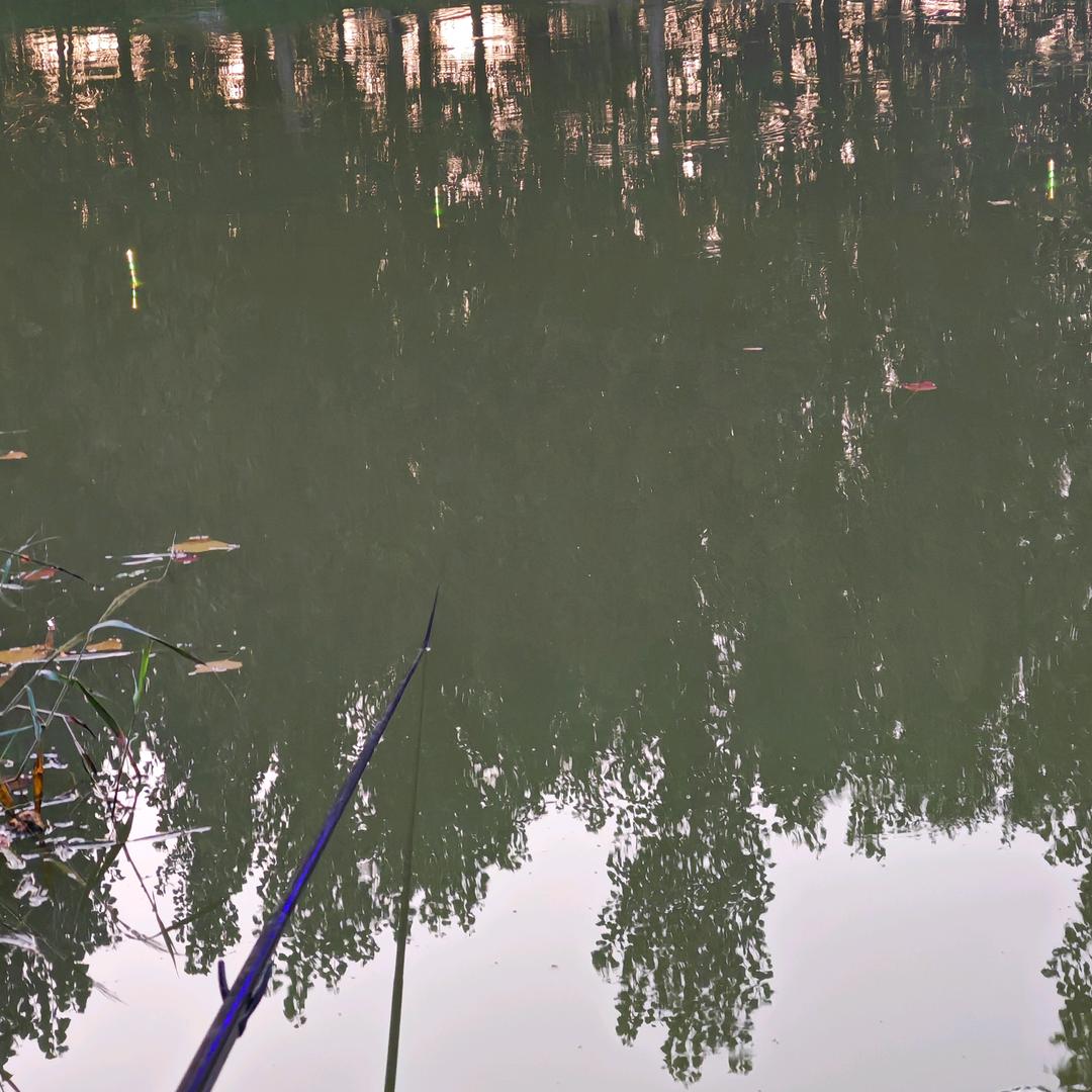钓鱼🎣