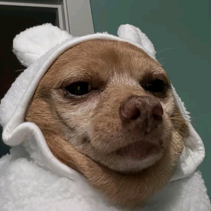 屹城