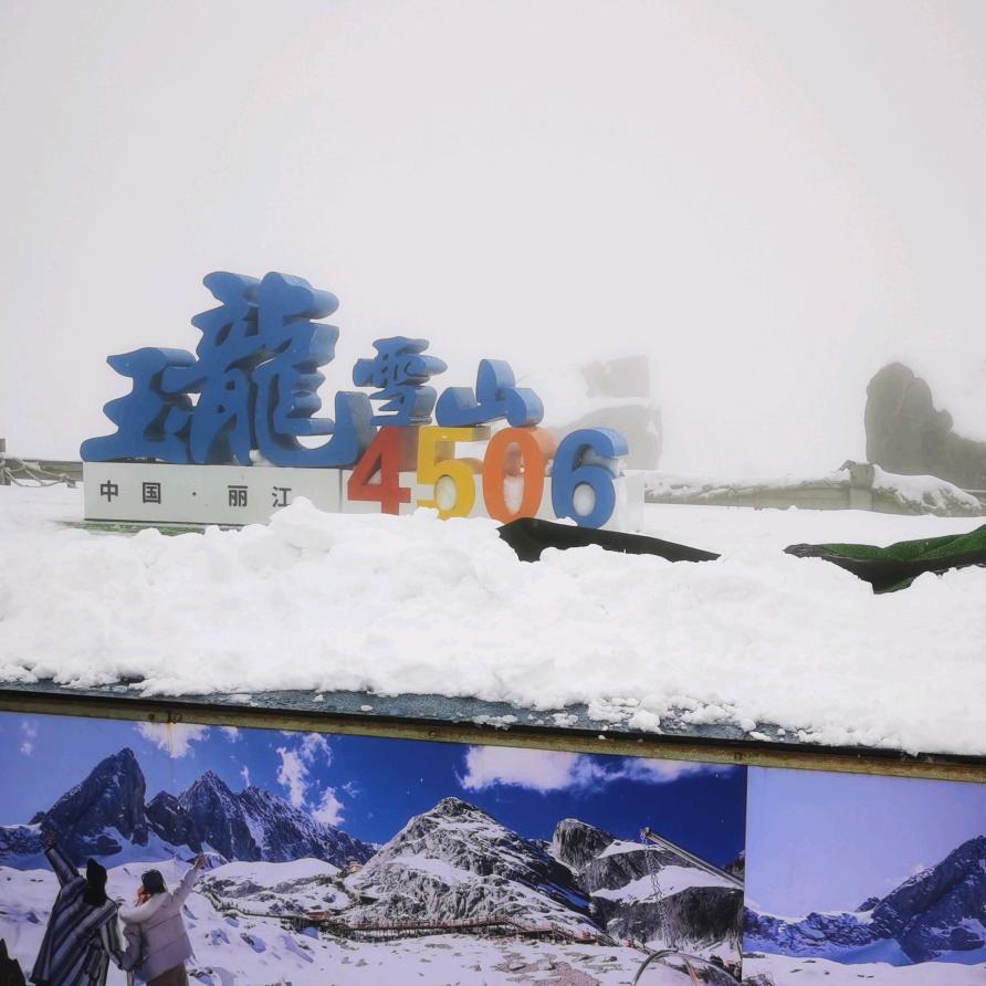 🇨🇳爱心的蜜蜂🐝