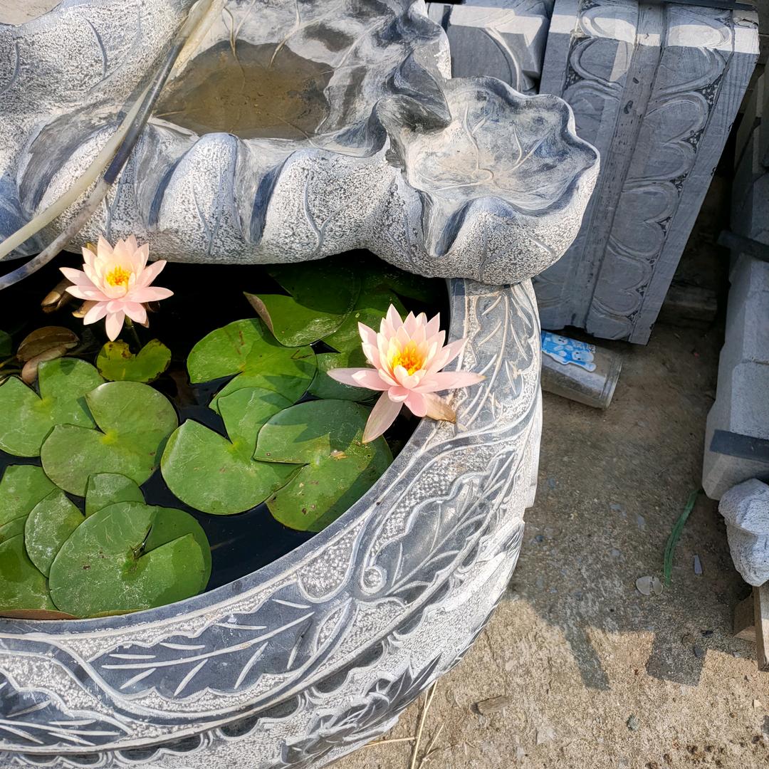 小辉辉
