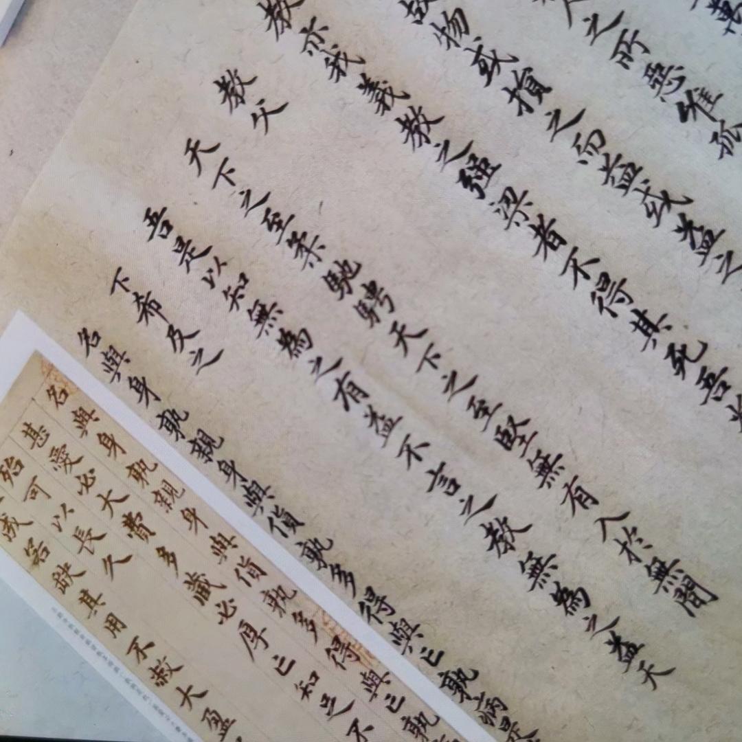 无尘子