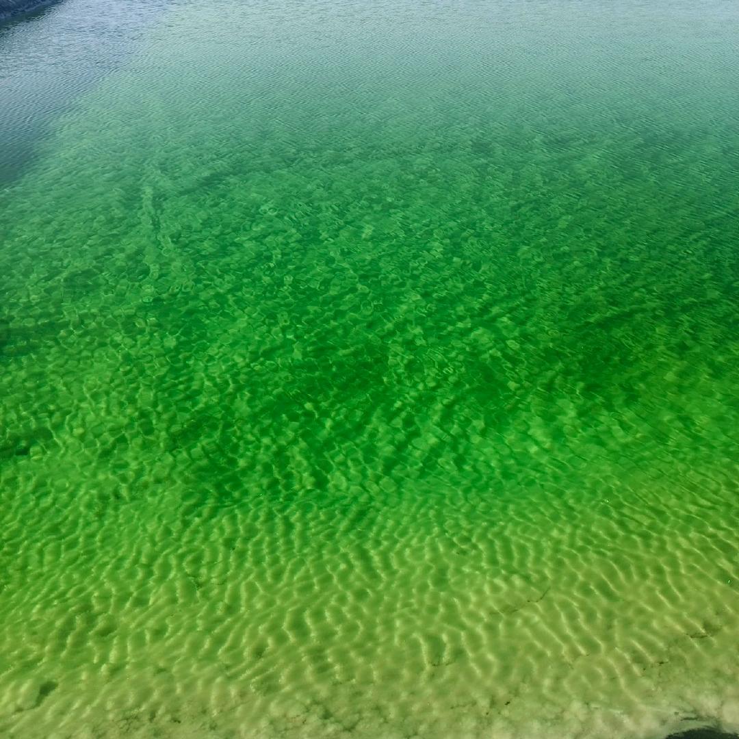 🌹🌹🌹🌹🌹🌹