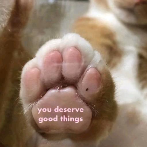 如此可爱的你我好喜欢