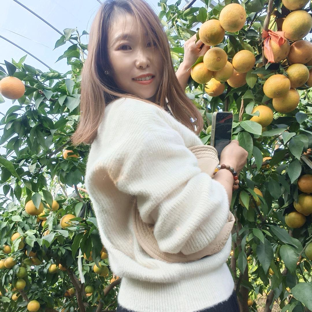杨杨