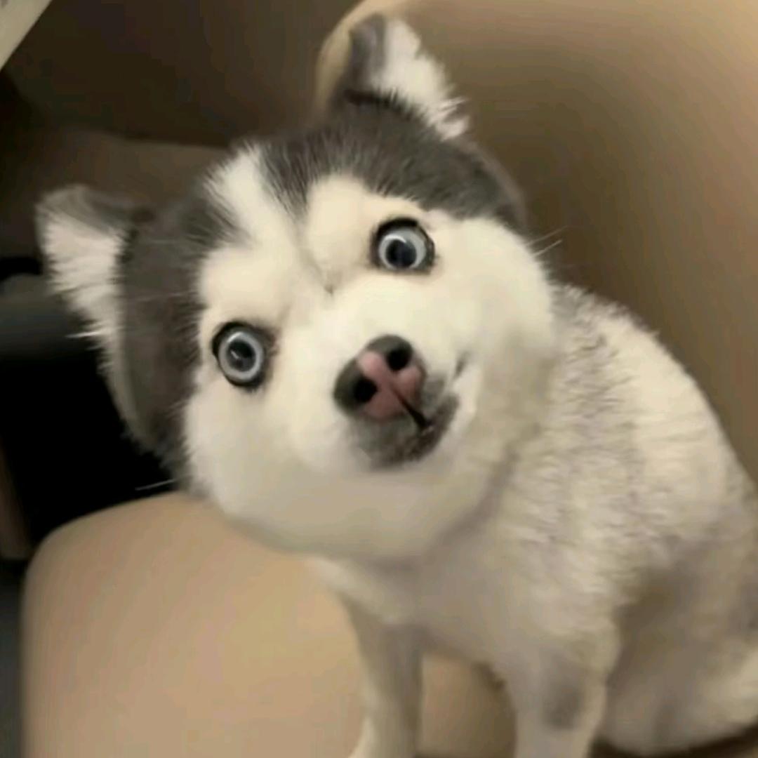 小昱