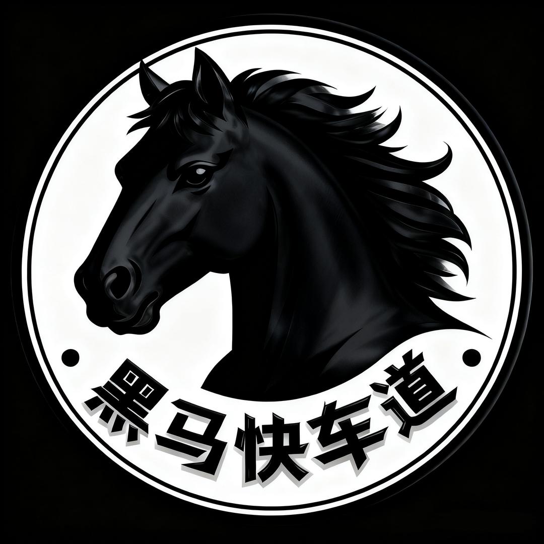 黑马快车道•变速箱维修