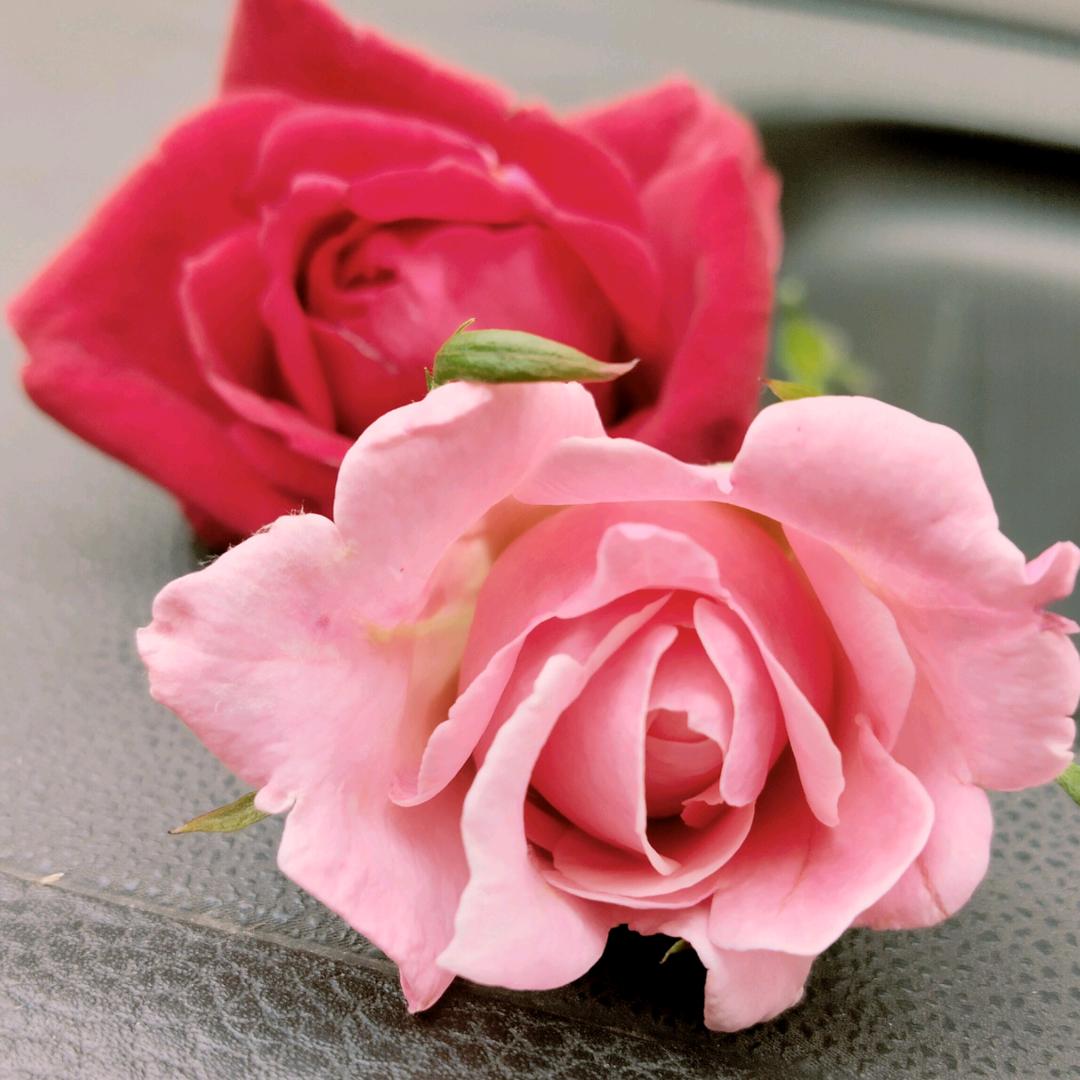 ꧁用微笑伪装自我的悲伤꧂